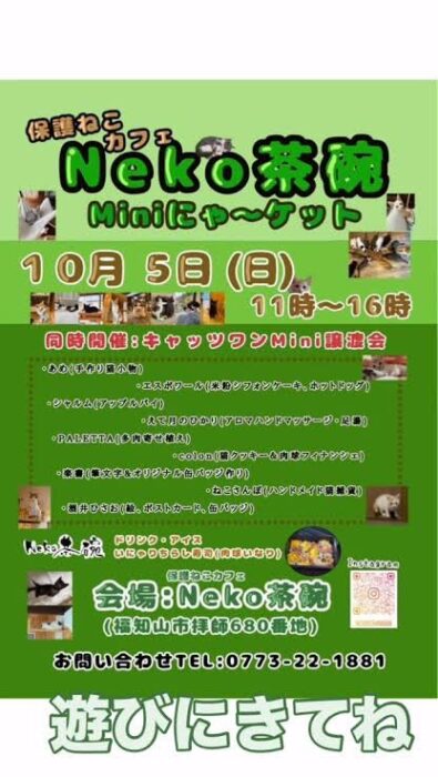 保護ねこカフェ Neko茶碗 Miniにゃ〜ケット