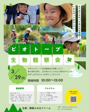 ビオトープ生物観察会