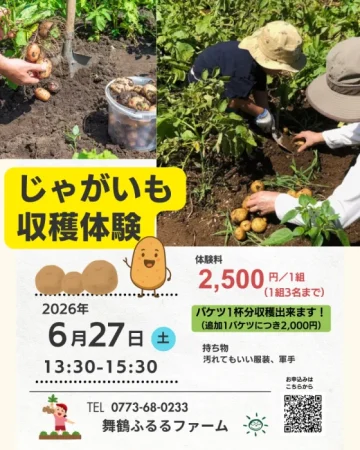 じゃがいも収穫体験
